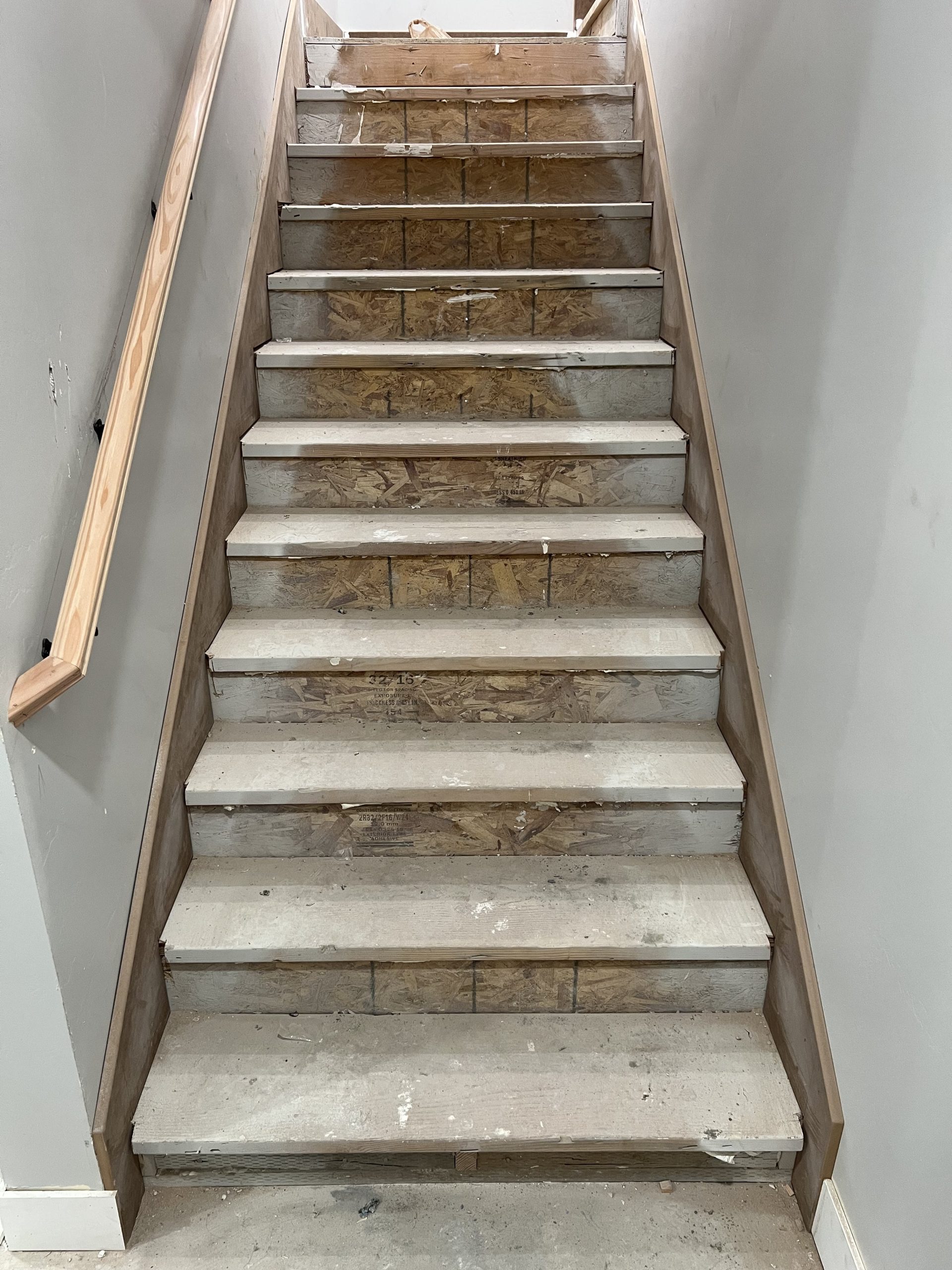 IMG_4420-min IMG_4420-min