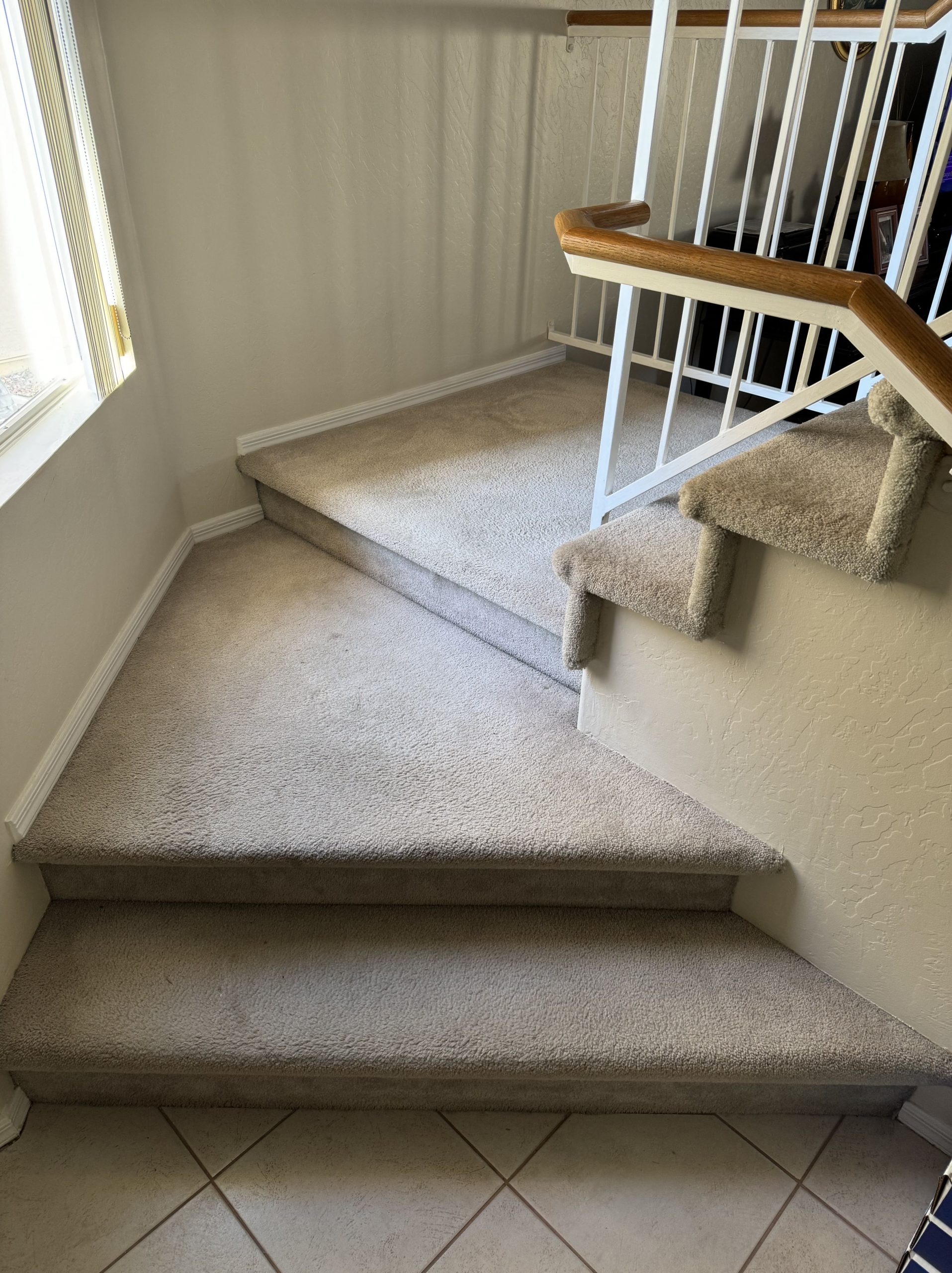 IMG_8329-min IMG_8329-min